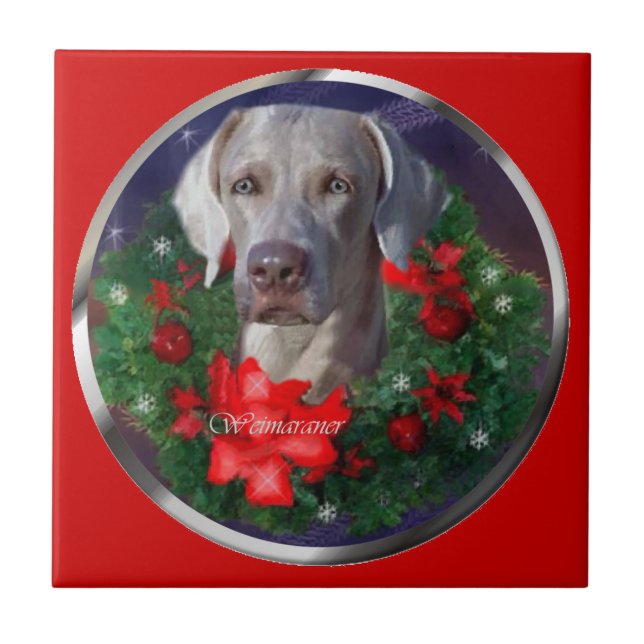 Weimaraner Weihnachtszeit Fliese (Vorderseite)