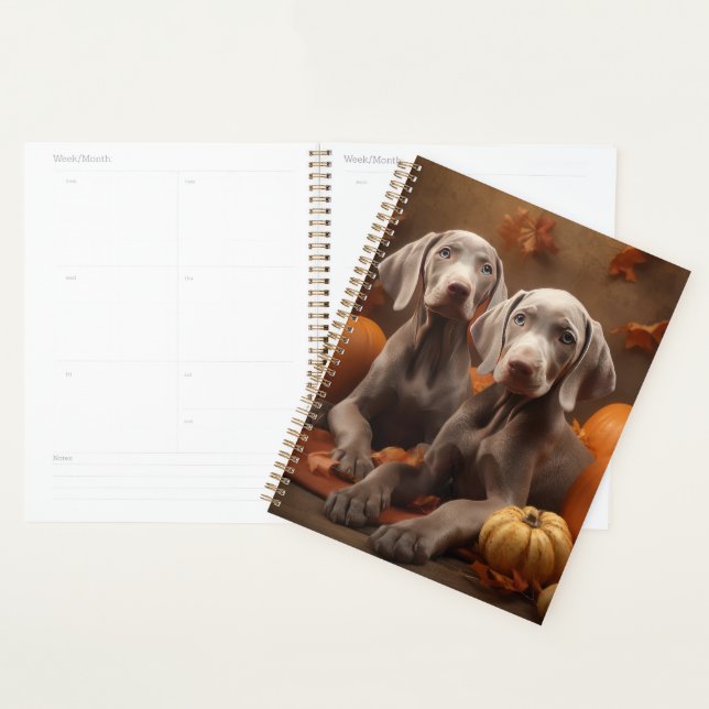 Weimaraner Welpe Autumn Delight Pumpkin Planer (Anzeige)