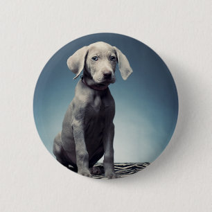Weimaraner Welpe Button