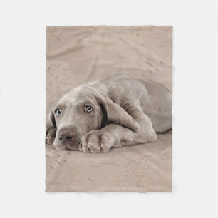 Weimaraner Welpe Fleecedecke