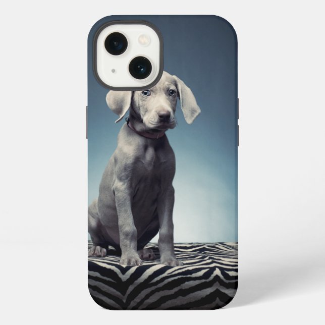 Weimaraner Welpe iPhone Hülle (Rückseite)
