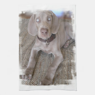 Weimaraner Welpen-Geschirrtuch Geschirrtuch