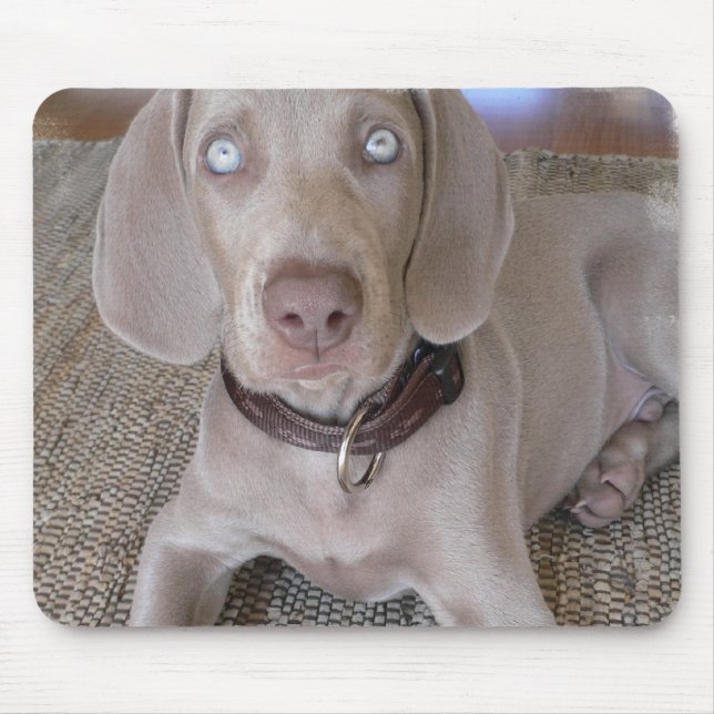 Weimaraner Welpen-Mausunterlage Mousepad (Vorne)