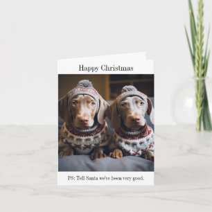 Weimaraner Welpen Weihnachtskarte Karte