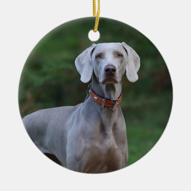 Weimaraner Welpenhund Keramik Ornament (Vorne)