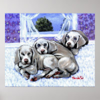 Weimaraner Welppies Dog Portrait
