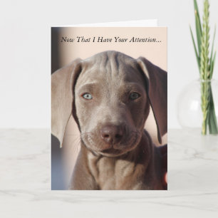 Weimaraner "You are the best" Grußkarte Karte