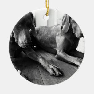 Weimaraners Keramik Ornament
