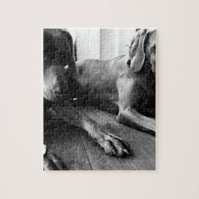 Weimaraners Puzzle (Vertikal)