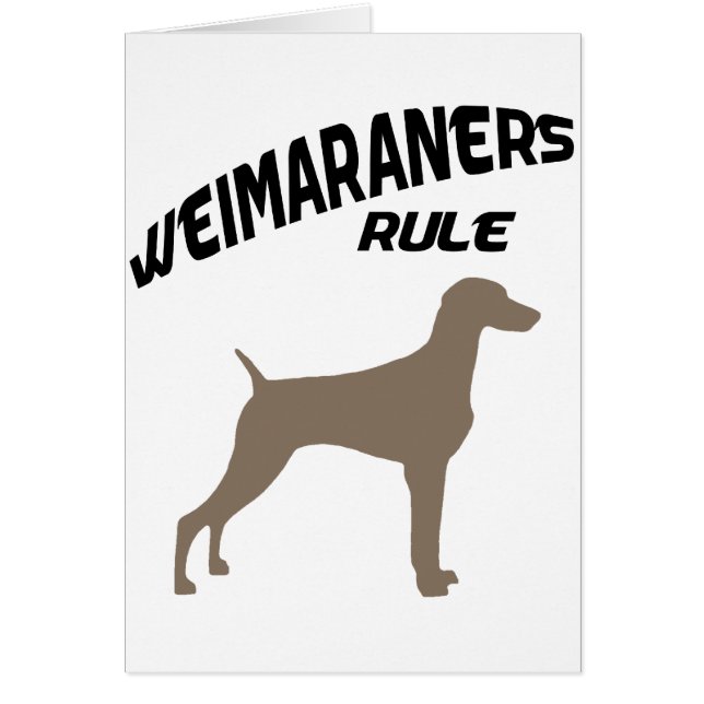 Weimaraners Regel (Vorne)