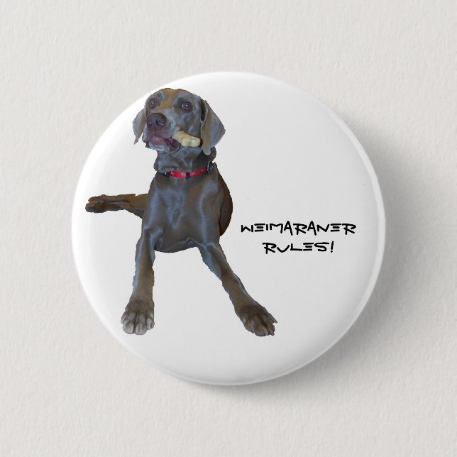 Weimaraners Regel! Button (Vorderseite)