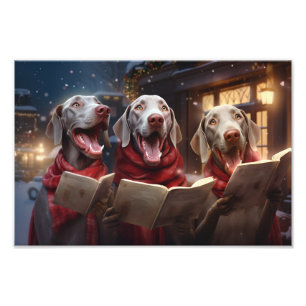 Weimaraners Weihnachtsfeiertag Fotodruck