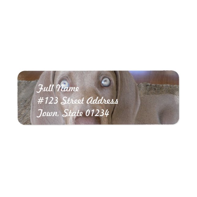 Weimeraner Dog Mailing Label (Vorne)