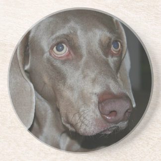 Weimeraner HundeUntersetzer Getränkeuntersetzer