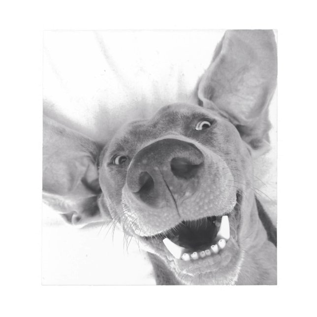 Weimeraner Notizblock (Vorderseite)