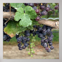 Wein im Weinkeller