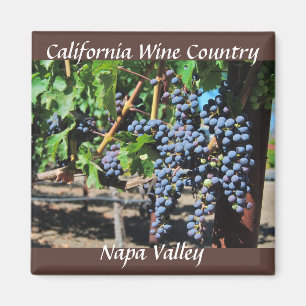 Wein-Land Napa Valley Kalifornien Magnet