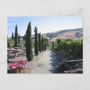 Wein-Land Postkarte