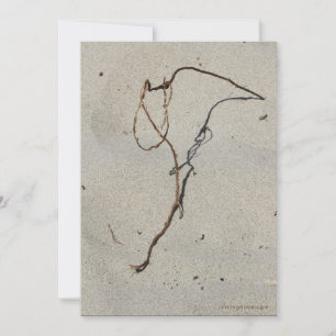 Wein/Stehender Felsen, Strand von Cannon, Oregon Karte