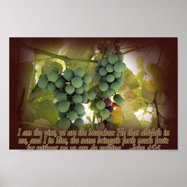 Wein und Branchen John 15:5 Poster Print (Vorne)