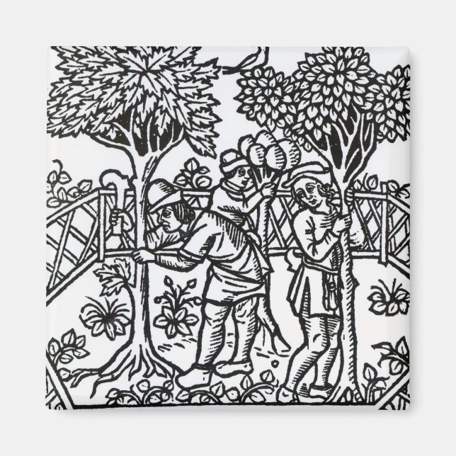 Weinanbau Magnet (Vorne)