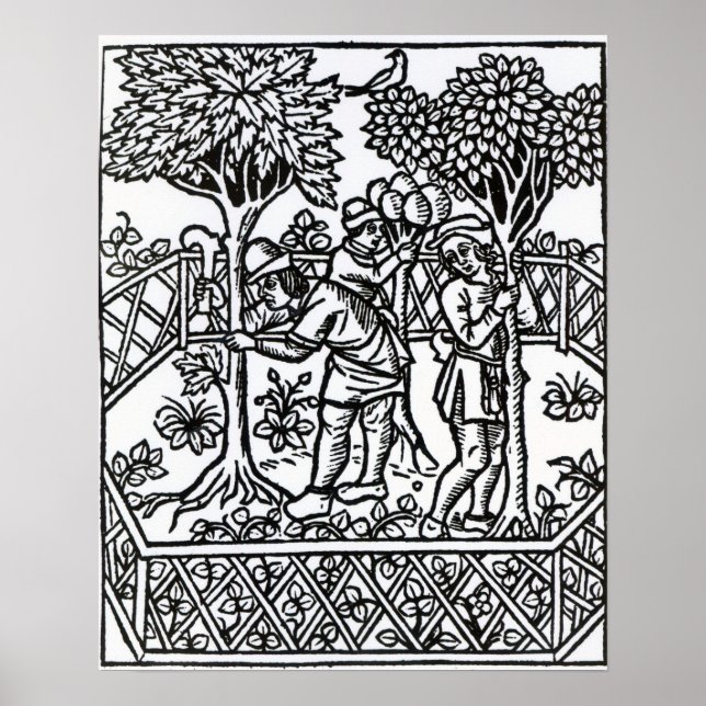 Weinanbau Poster (Vorne)