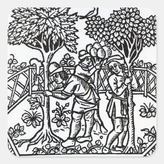 Weinanbau Quadratischer Aufkleber (Vorderseite)