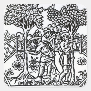 Weinanbau Quadratischer Aufkleber