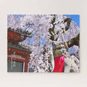 Weinbaum ("Nara Ichiban-Zakura") Puzzle