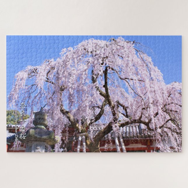 Weinbaum ("Nara Ichiban-Zakura") Puzzle (Horizontal)