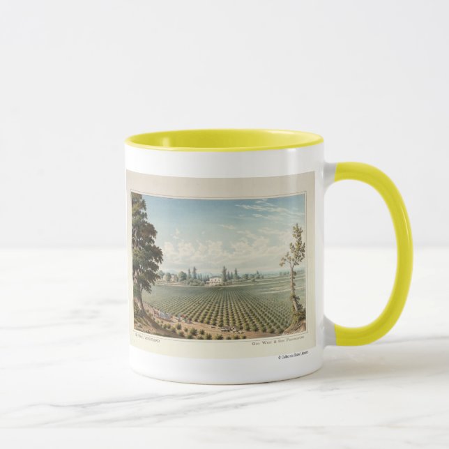 Weinberg EL Pinal, San Joaquin County Tasse (Rechts)