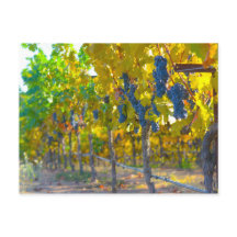 Weinberg im Napoleon Tal