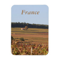 Weinberg in Frankreich auf Magnet gedruckt