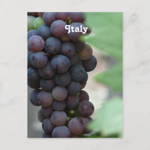 Weinberg in Italien Postkarte