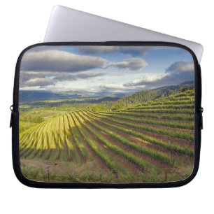 Weinberg. Napa-Tal. Napa. Napa-Landkreis Laptopschutzhülle