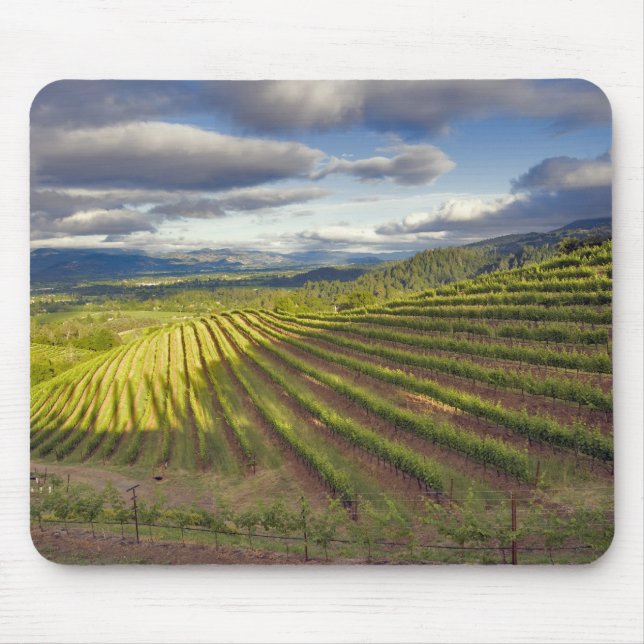 Weinberg. Napa-Tal. Napa. Napa-Landkreis Mousepad (Vorne)