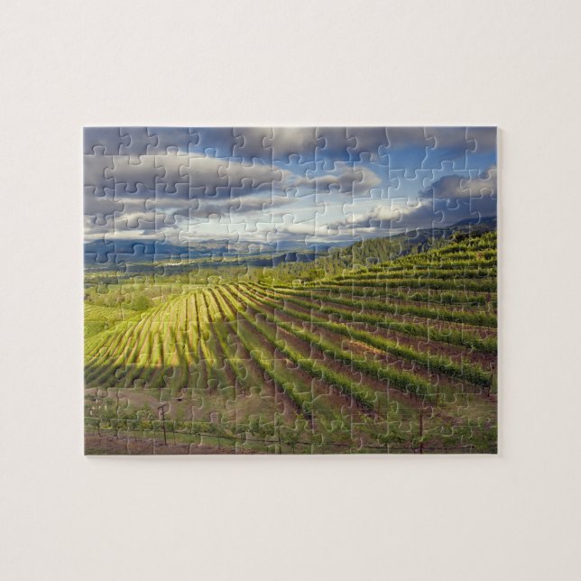 Weinberg. Napa-Tal. Napa. Napa-Landkreis Puzzle (Horizontal)