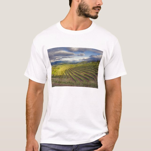 Weinberg. Napa-Tal. Napa. Napa-Landkreis T-Shirt (Vorderseite)