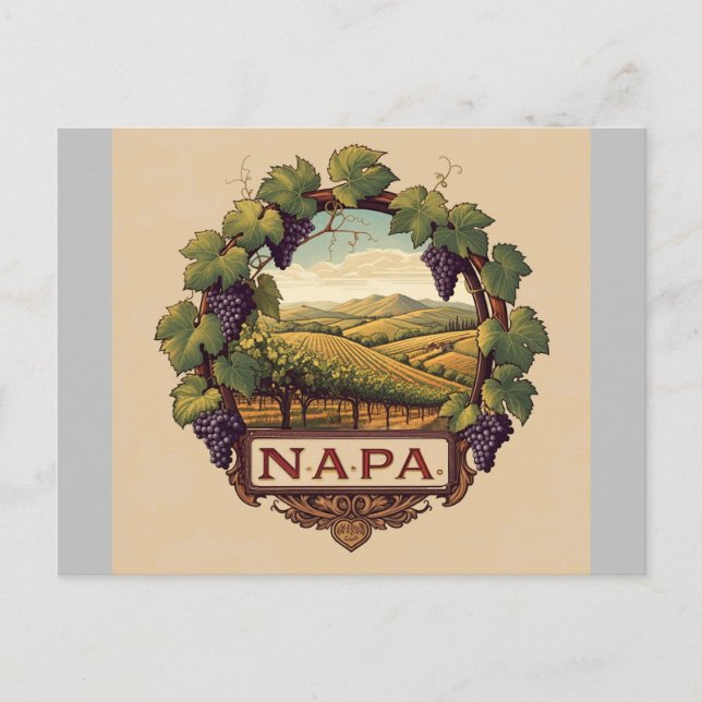 Weinberg Napa Tal Souvenir Postkarte (Vorderseite)