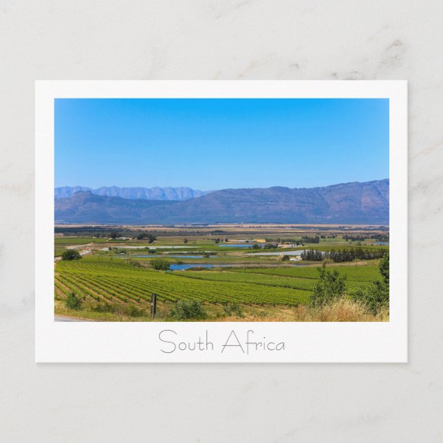 Weinberg Natureview Südafrika SA Postkarte (Vorderseite)