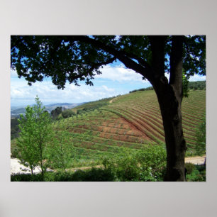 Weinberg-Stolz Poster