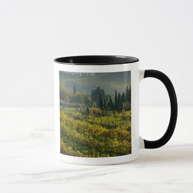 Weinberg, Toskana, Italien Tasse (Rechts)