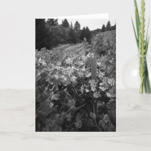 Weinberg und Hügel, Textilkaufmann Vineyard, 1966 Karte