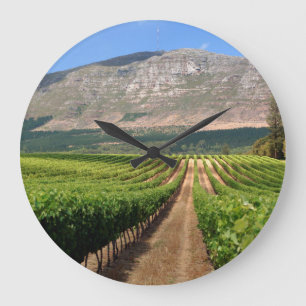 Weinberge des Groot Constantia Anwesen Große Wanduhr