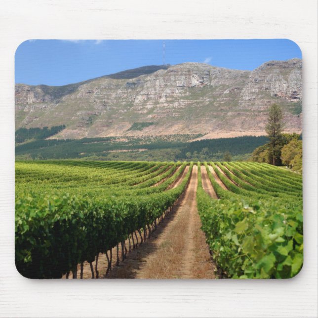 Weinberge des Groot Constantia Anwesen Mousepad (Vorne)