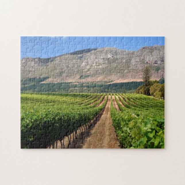 Weinberge des Groot Constantia Anwesen Puzzle (Horizontal)