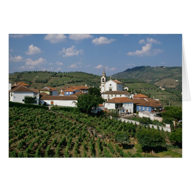 Weinberge, Dorf San Miguel, Douro (Vorderseite (Horizontal))
