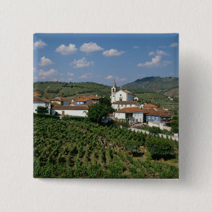 Weinberge, Dorf San Miguel, Douro Button