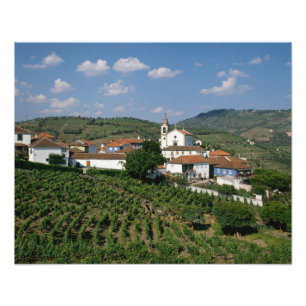 Weinberge, Dorf San Miguel, Douro Fotodruck