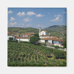 Weinberge, Dorf San Miguel, Douro Magnet